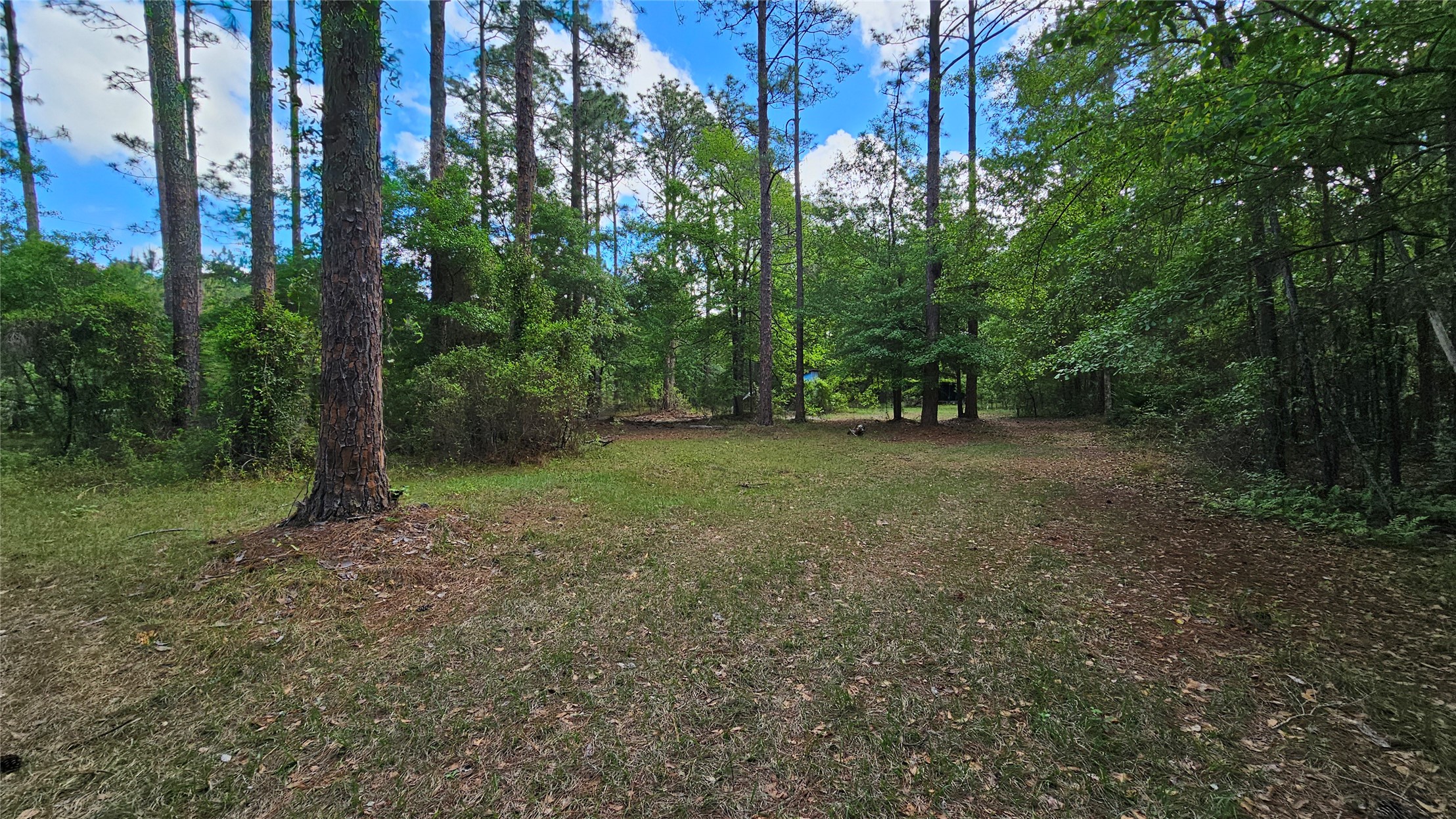 6324 Lannie Road Jacksonville, FL 32218 - Photo 36 of 60