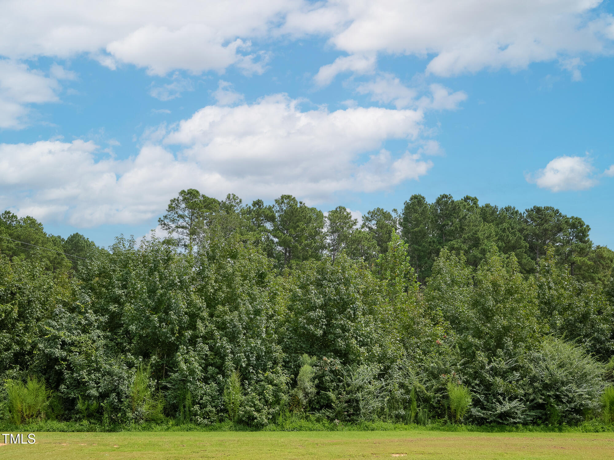 2270 Medlin Road Clayton, NC 27527 - Photo 59 of 62 078_2270_Medlin_Back_Yard