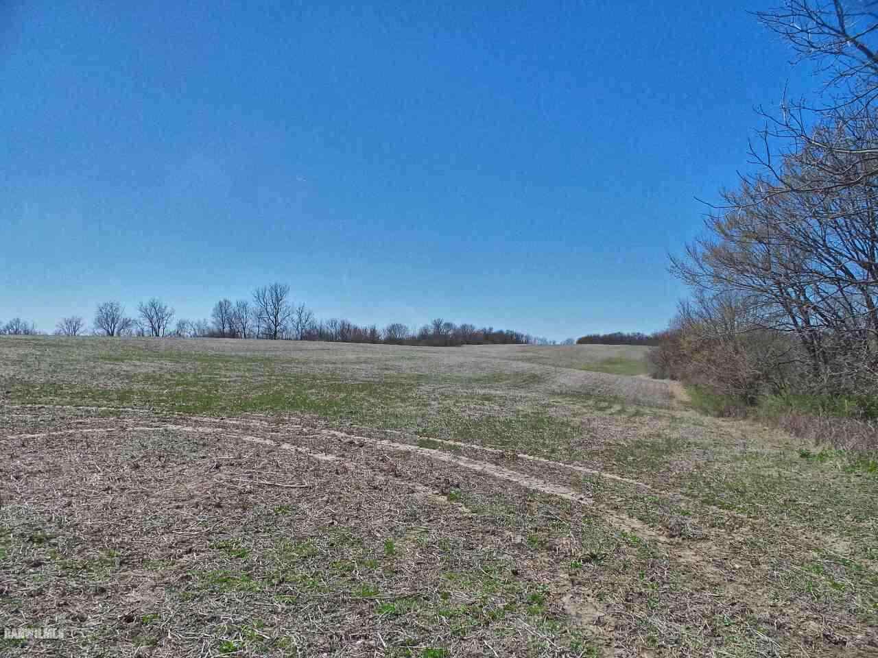 Tbd South Fitzsimmons Road Stockton, IL 61085 - Photo 3 of 7 Gallery Image 3