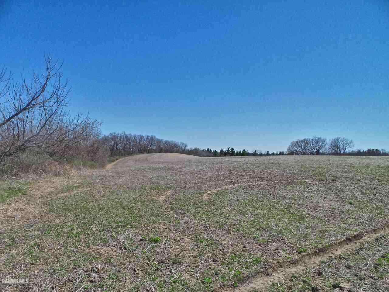 Tbd South Fitzsimmons Road Stockton, IL 61085 - Photo 5 of 7 Gallery Image 5