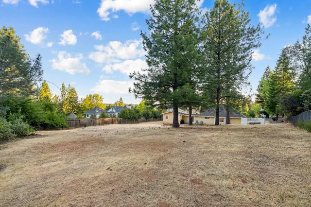 a view of large trees with a big yard