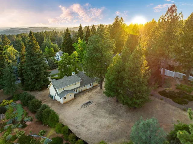 a view of a yard with plants and outdoor seating