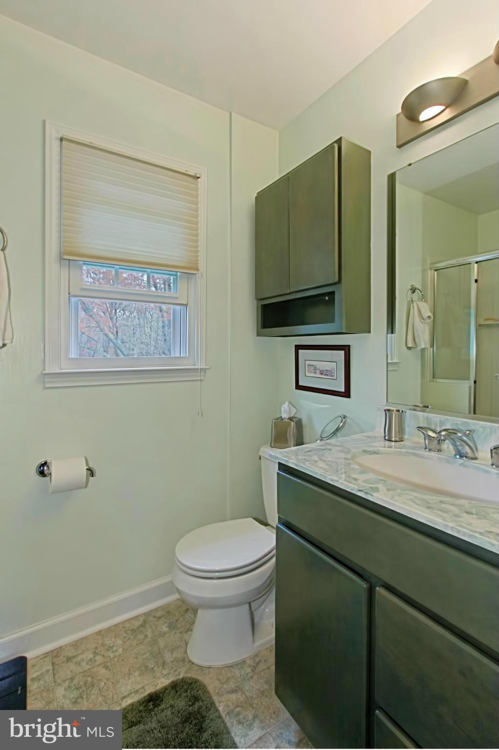 2314 Rosedown Drive Reston, VA 20191 - Photo 28 of 30 Updated Bathroom