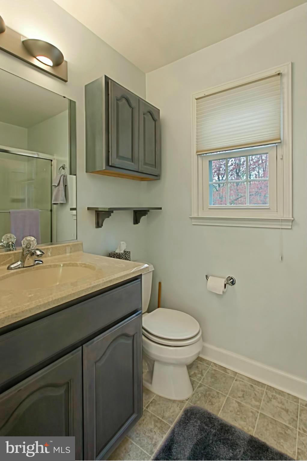 2314 Rosedown Drive Reston, VA 20191 - Photo 29 of 30 Updated Bathroom