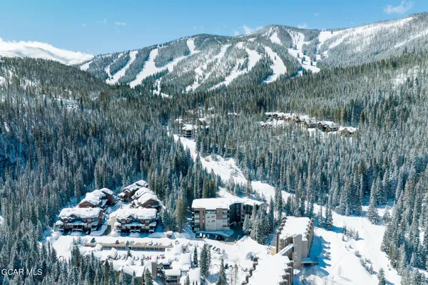 a view of a backyard with plants and lake view