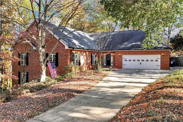a view of a tree in a garden
