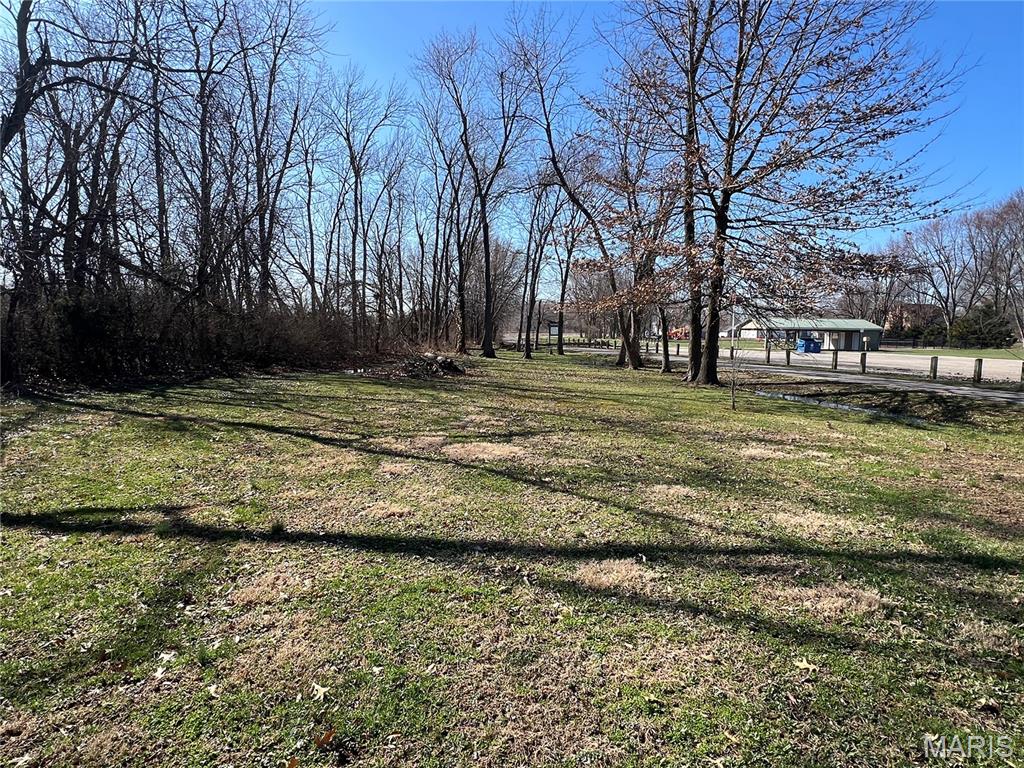 112 East 6th Street Staunton, IL 62088 - Photo 38 of 39