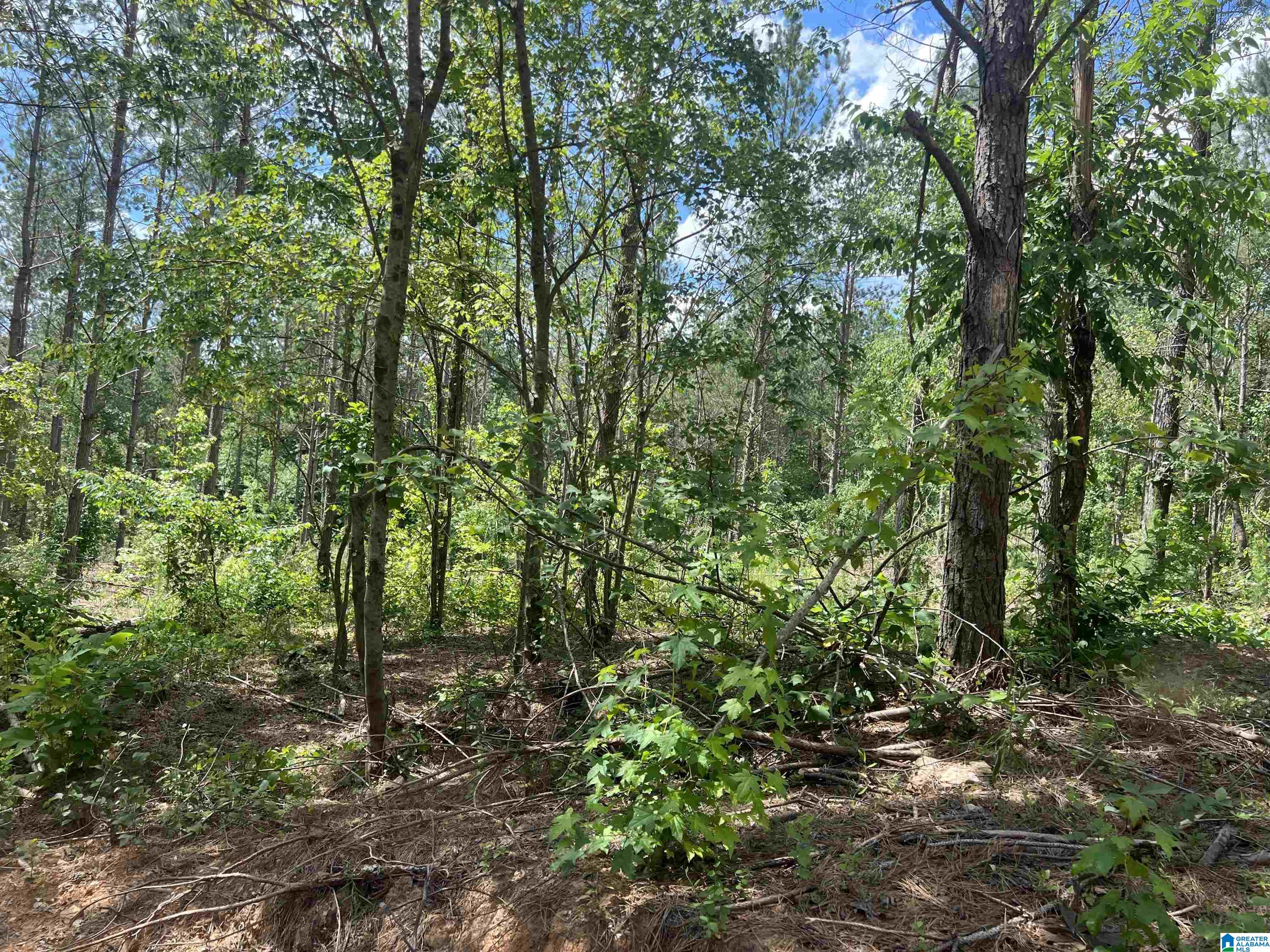 0 County Road 689, Unit 1 Ranburne, AL 36273 - Photo 18 of 69
