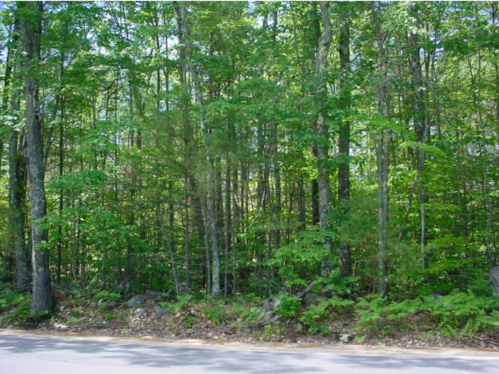 0 Kings Highway/pinkham Road Middleton, NH 03887 - Photo 2 of 2