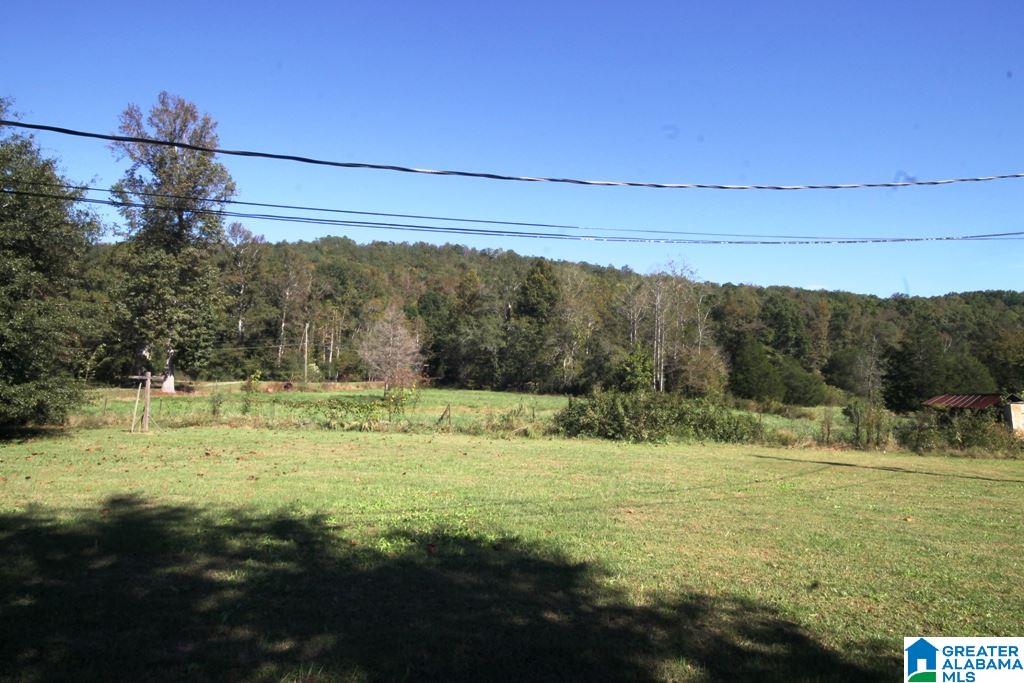 1560 White Plains Road Anniston, AL 36207 - Photo 22 of 38