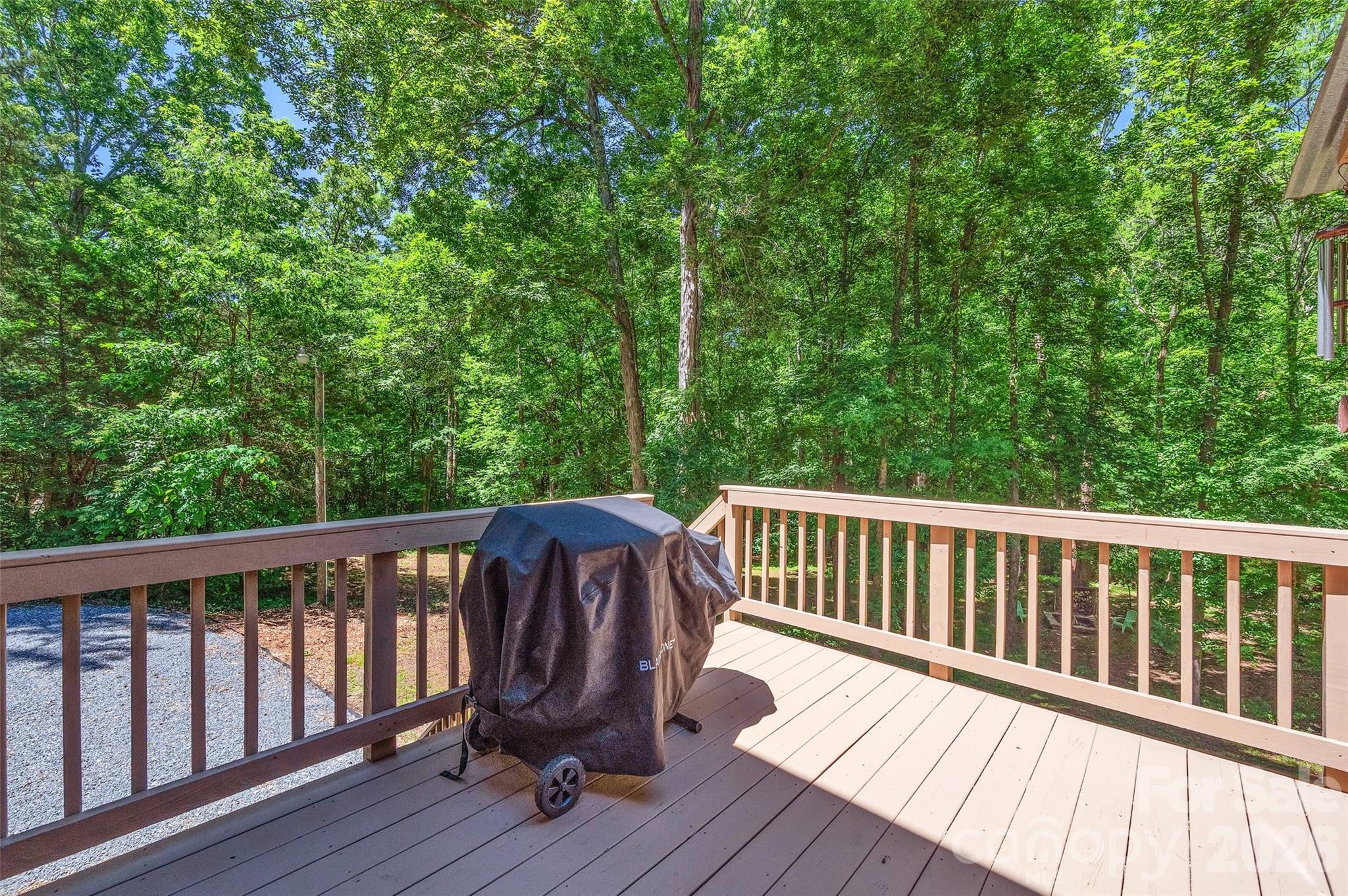 1433 Lurecliff Place Fort Mill, SC 29708 - Photo 19 of 42