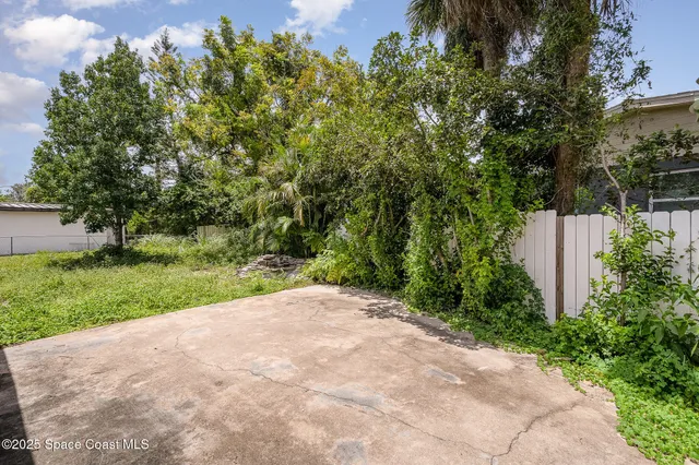a view of a yard with plants and large trees
