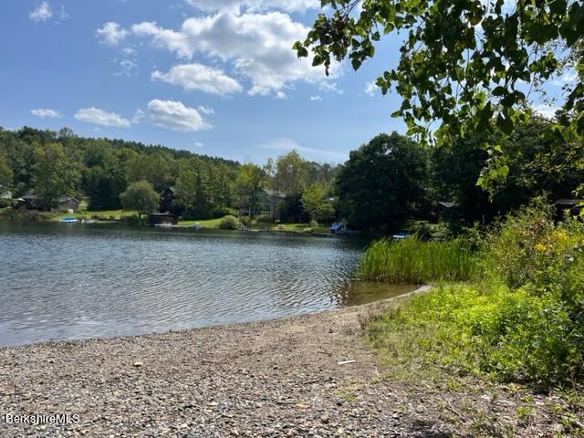 0 Goose Pond Road Lee, MA 01264 - Photo 5 of 10 a view of outdoor space with deck and trees