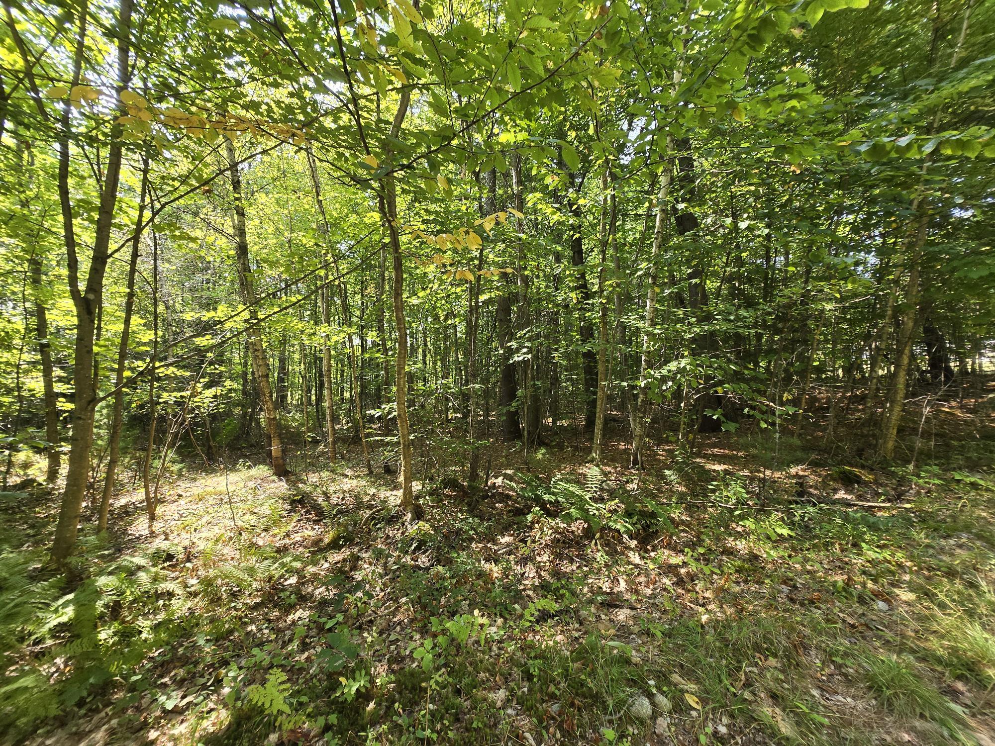 181 Wyman Hill Road Rumford, ME 04276 - Photo 14 of 20