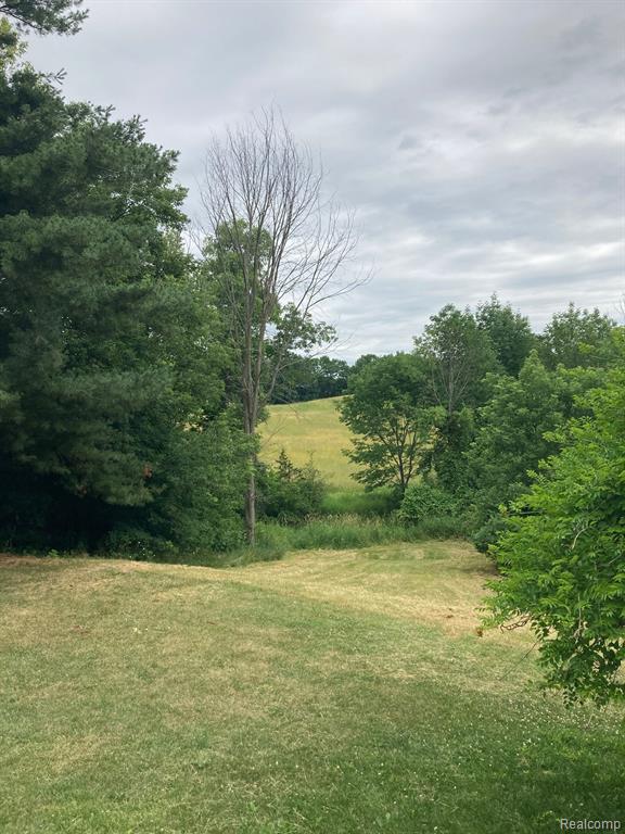 3158 Birch Run Road Millington, MI 48746 - Photo 8 of 20 Gallery Image 8