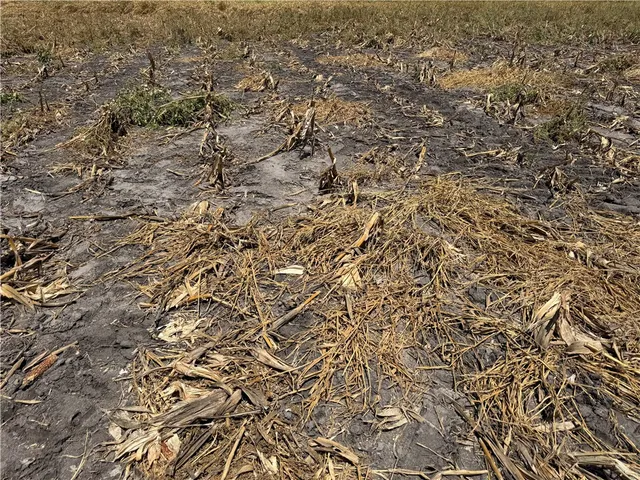 $611,580 | 123 Fm 534, Mathis, TX 78368