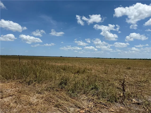 a view of yard and ocean