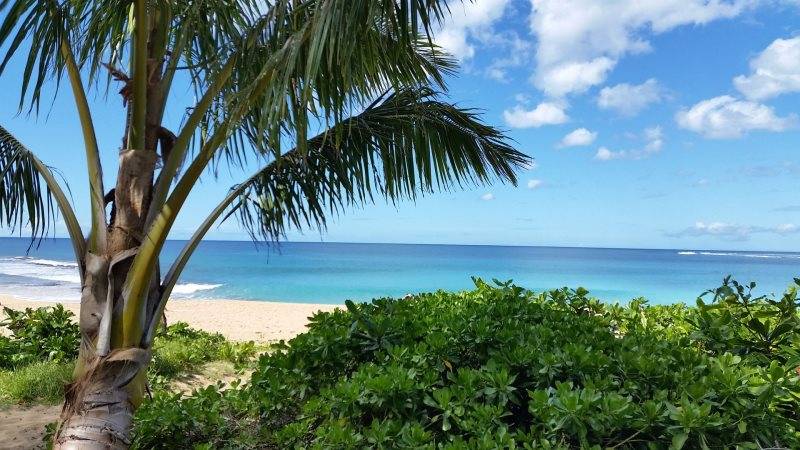 410 Papaloa Road, Unit 323 Kapaa, HI 96746 - Photo 1 of 22 Gallery Image 1