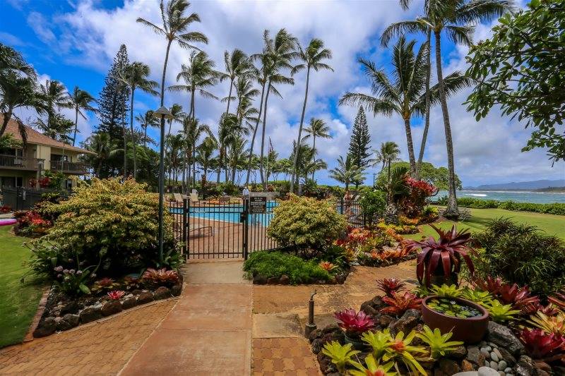 410 Papaloa Road, Unit 323 Kapaa, HI 96746 - Photo 15 of 22 Gallery Image 15