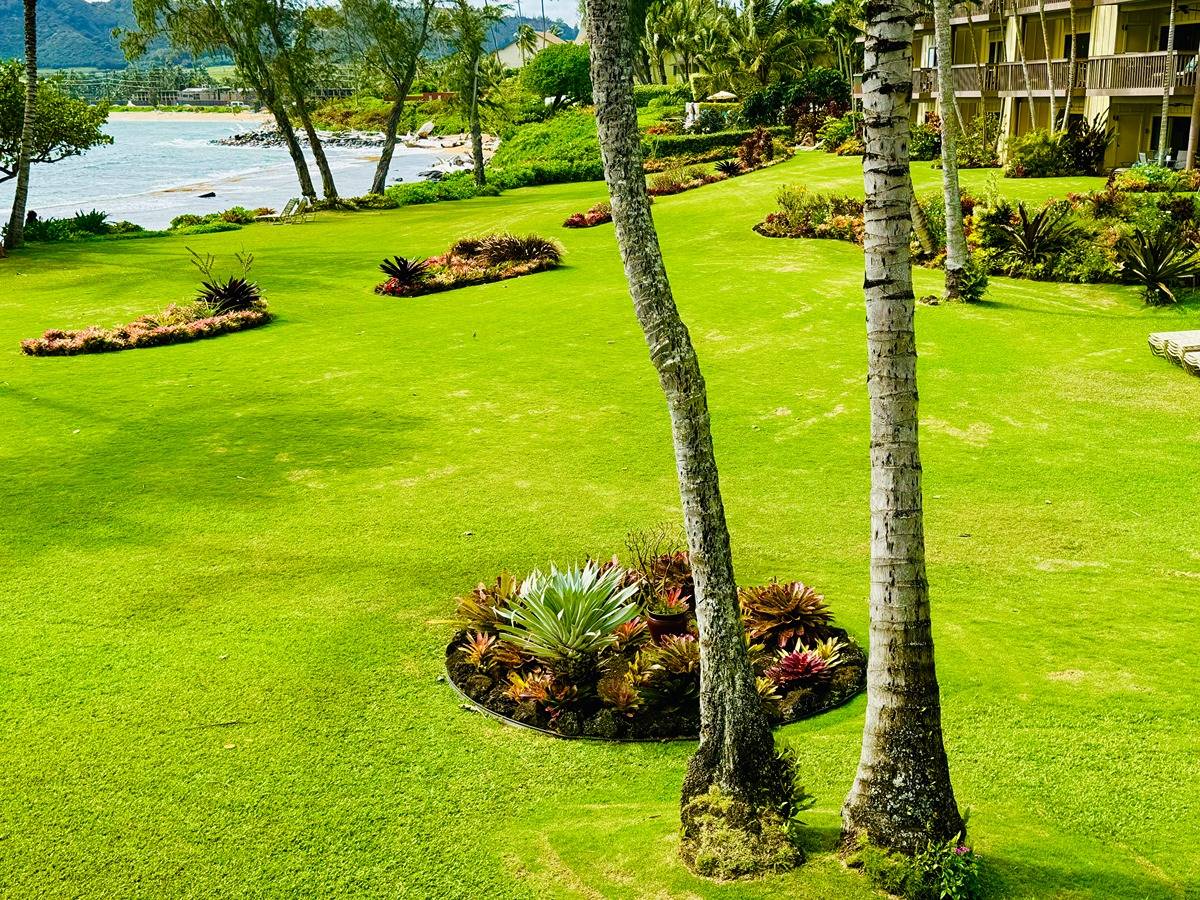 410 Papaloa Road, Unit 323 Kapaa, HI 96746 - Photo 18 of 22 Gallery Image 18