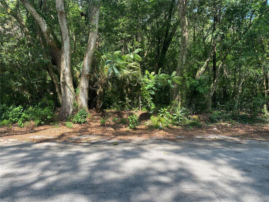 6088 Terrell Road Mount Dora, FL 32757 - Photo 1 of 1