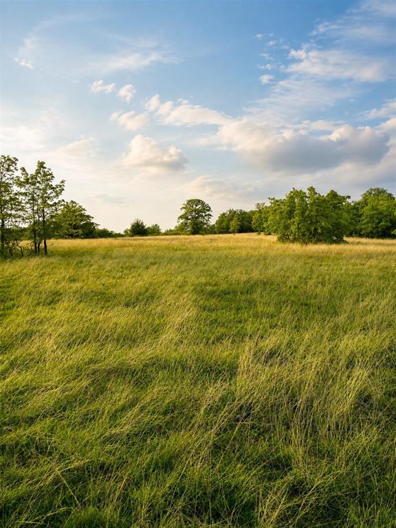 Lot 1 Pleasant Hill Road Sunset, TX 76270 - Photo 5 of 10 Gallery Image 5