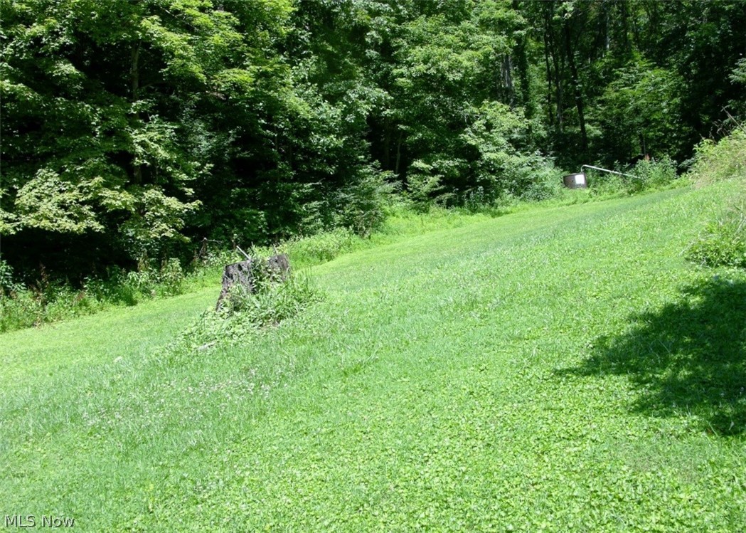 3885 Jackson Run Road New Matamoras, OH 45767 - Photo 20 of 23 Gallery Image 20