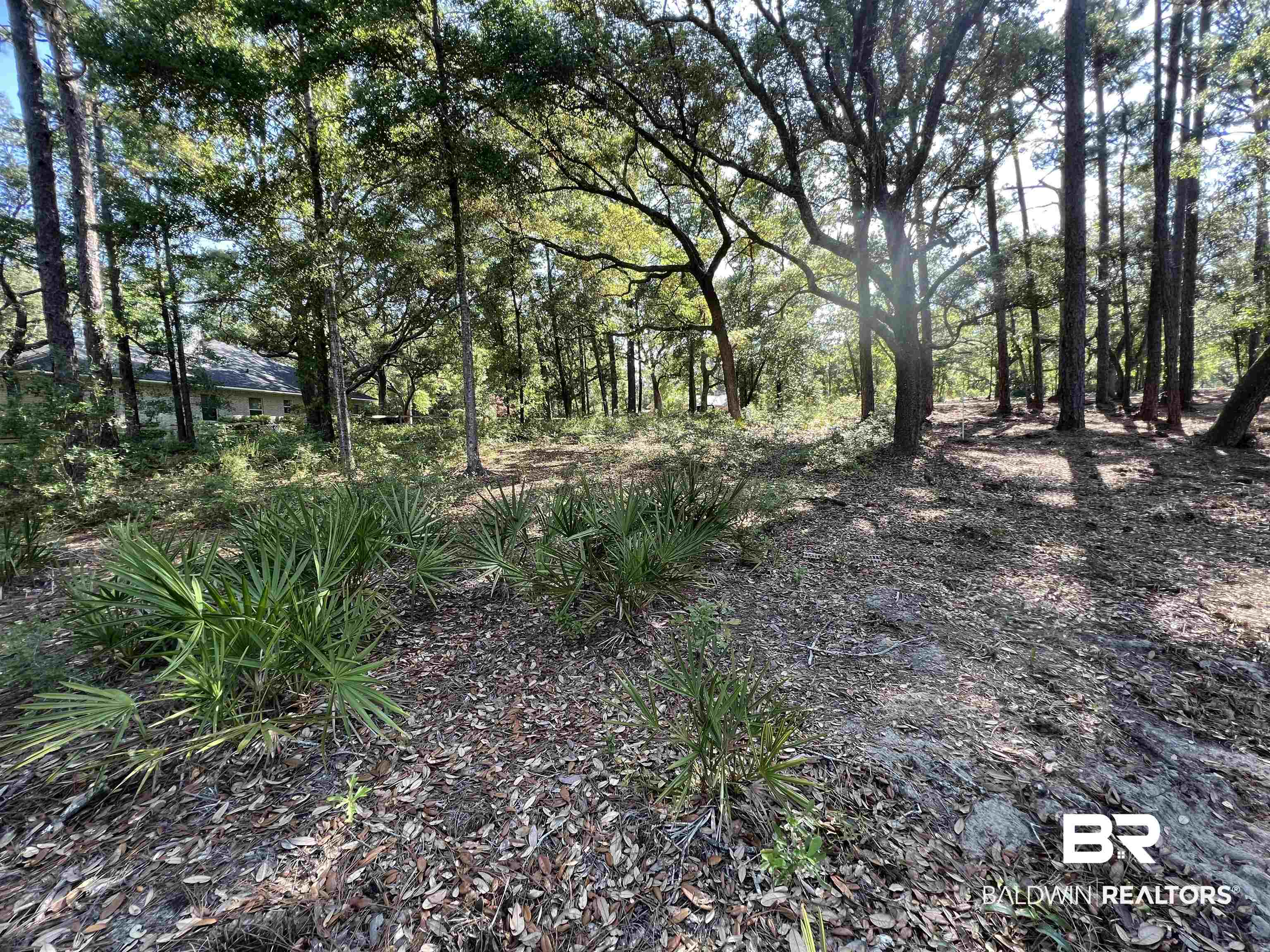 9545 North Bayou Road Lillian, AL 36549 - Photo 19 of 34 View of local wilderness