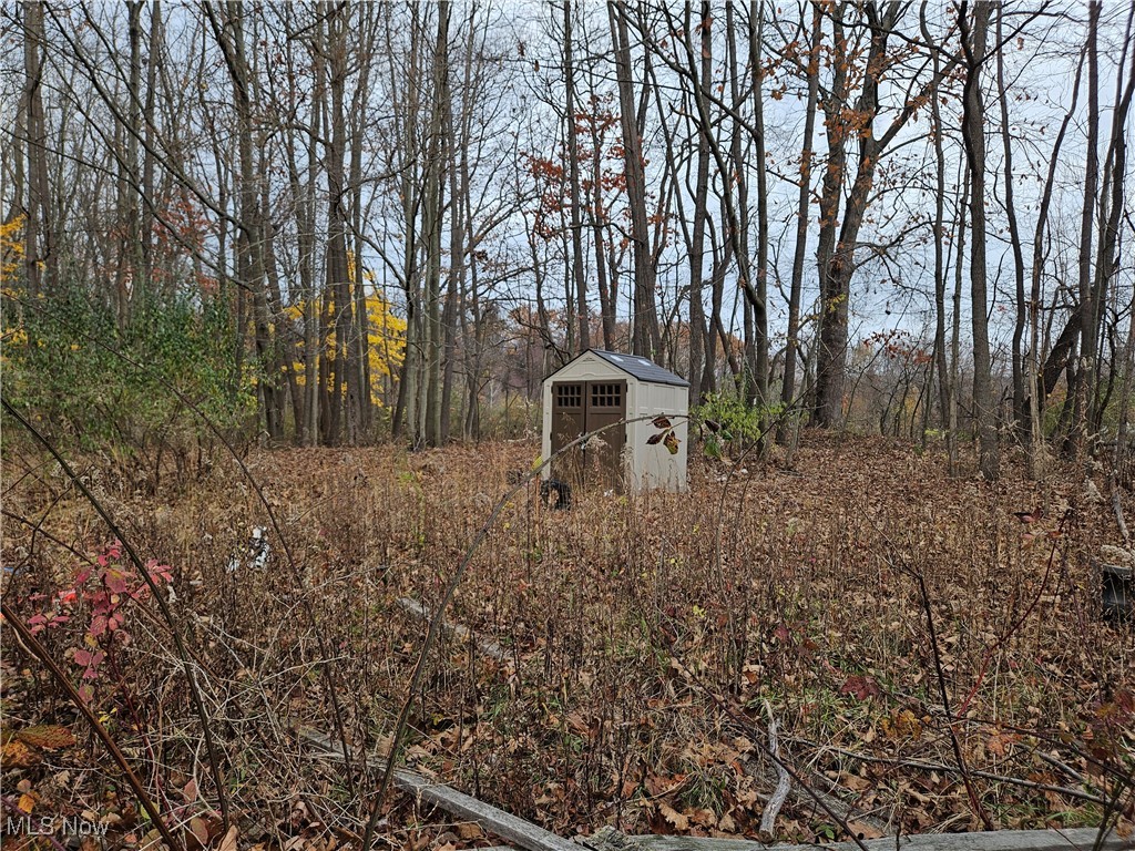 2866 McMackin Road Madison, OH 44057 - Photo 4 of 17 View of yard featuring a storage shed