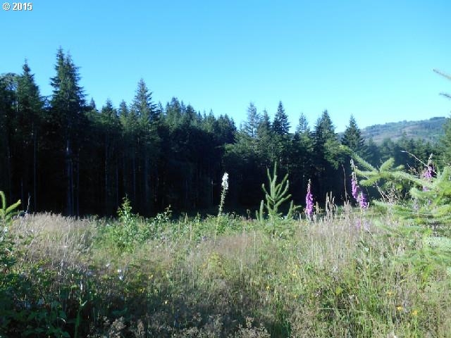 Skinner Road Woodland, WA 98674 - Photo 11 of 16 Gallery Image 11