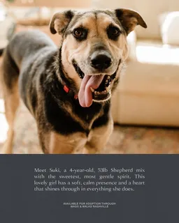 $850,000 | 301 Brandywine Drive, Old Hickory, TN 37138