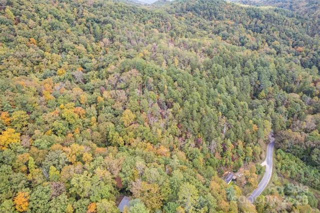 a view of a dry yard