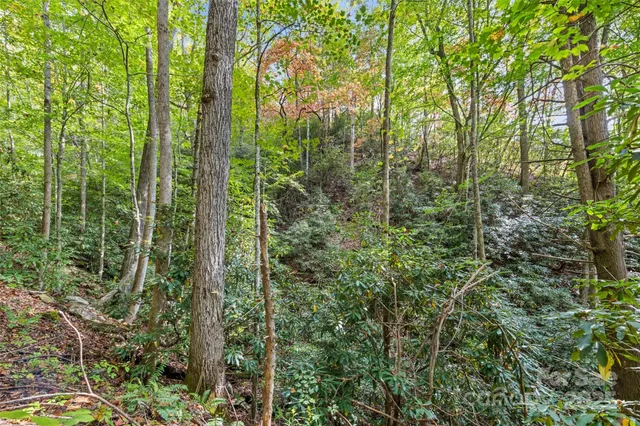 $275,000 | 99999 Chastain Road, Scaly Mountain, NC 28775