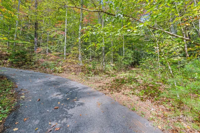 $275,000 | 99999 Chastain Road, Scaly Mountain, NC 28775