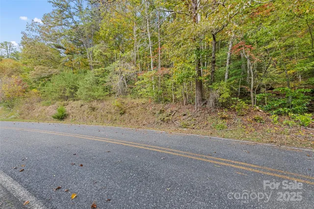 $275,000 | 99999 Chastain Road, Scaly Mountain, NC 28775