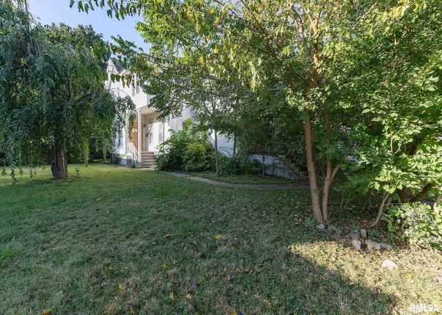 a view of a tree in the middle of a yard