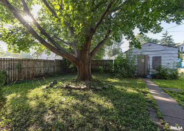 a view of a tree in a yard with large trees