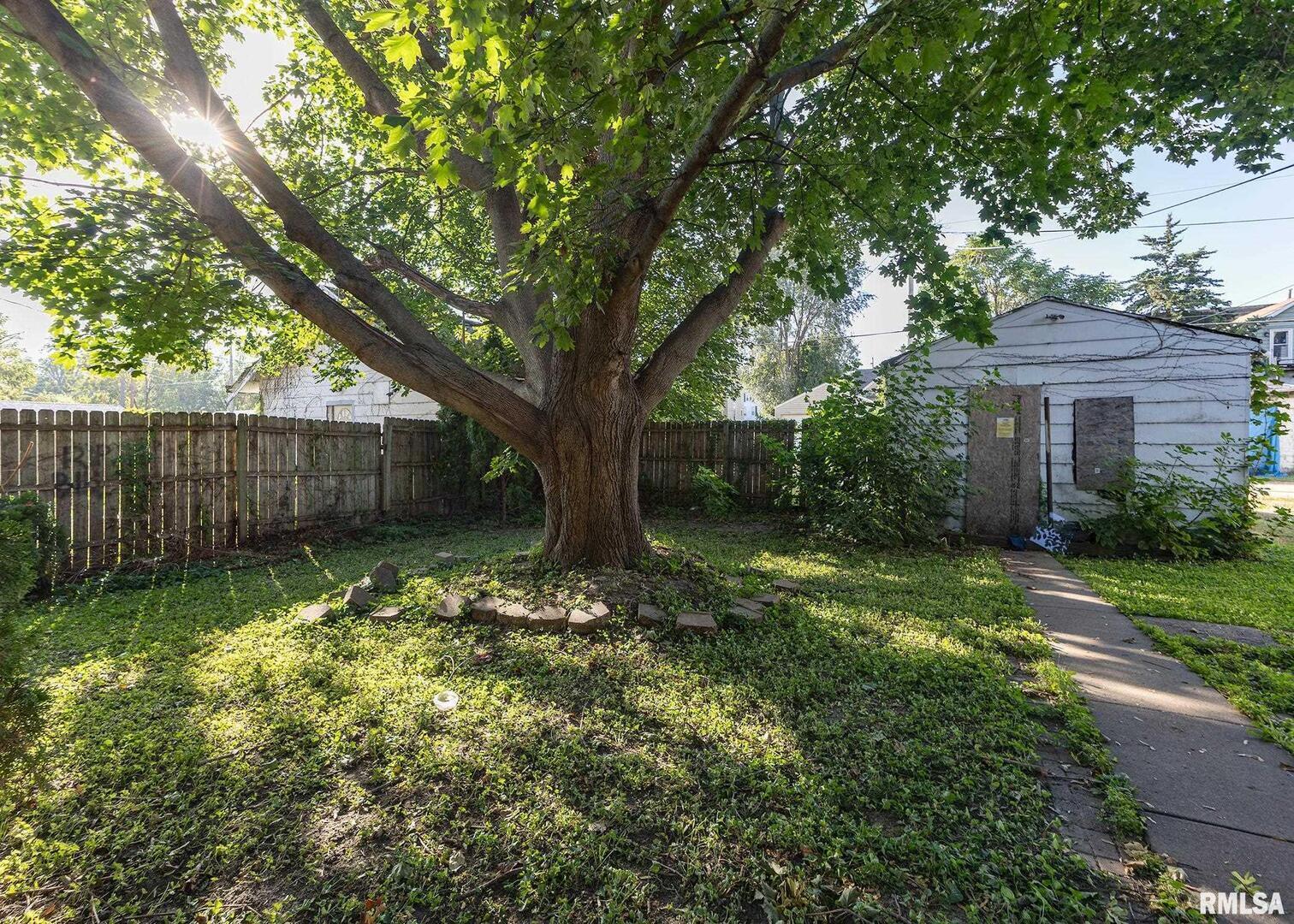537 6th Avenue South Clinton, IA 52732 - Photo 6 of 11 a view of a tree in a yard with large trees