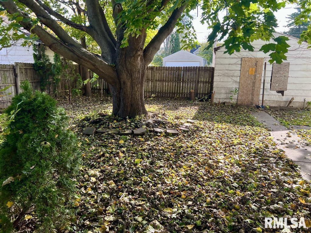 537 6th Avenue South Clinton, IA 52732 - Photo 10 of 11 a view of a backyard with a tree