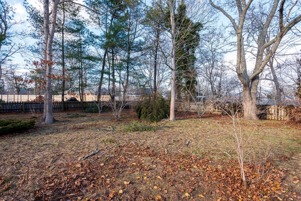 17 Chapman Lane Edgartown, MA 02539 - Photo 26 of 26 a view of a yard with a tree