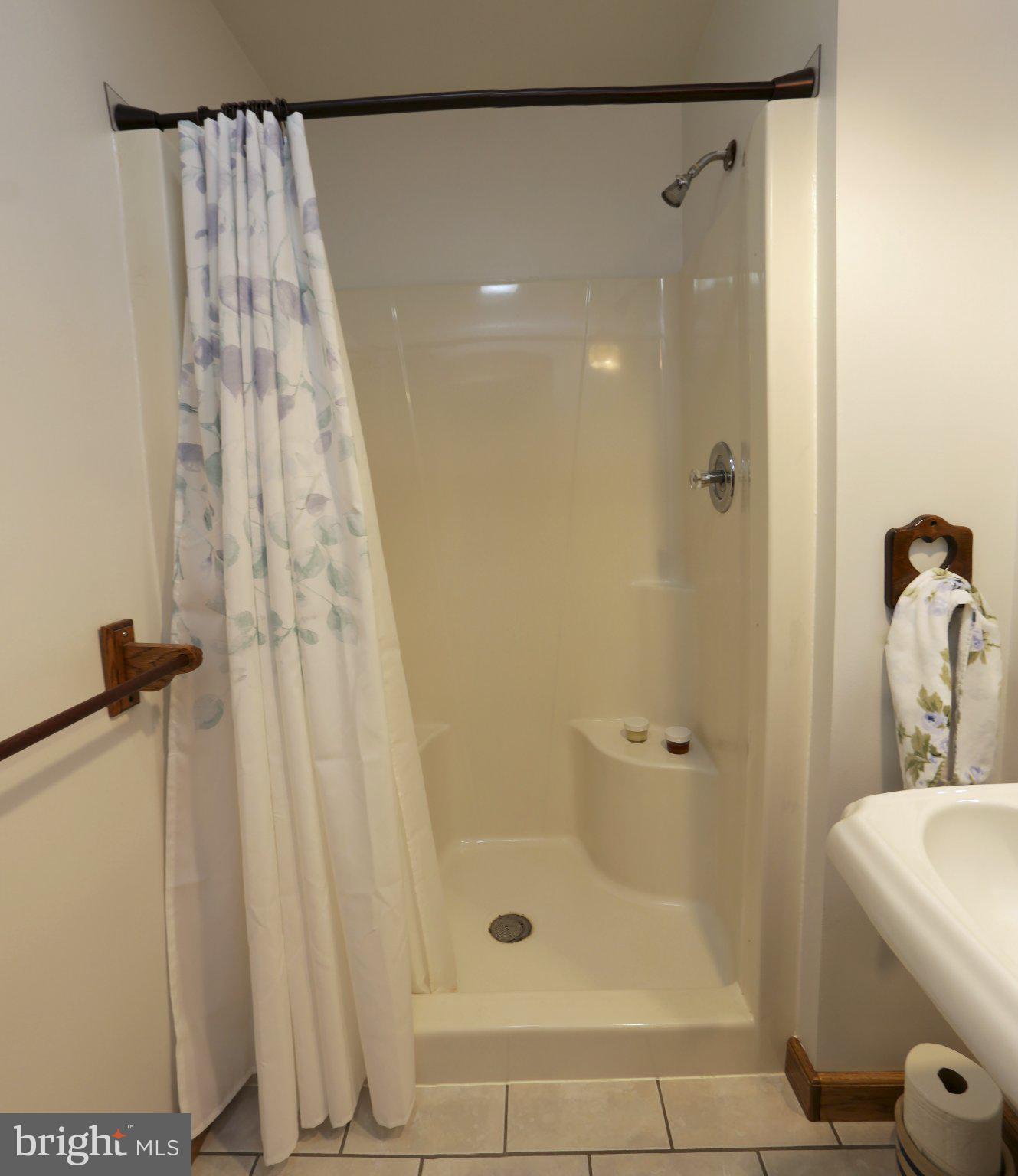 1580 Girl Scout Road Denver, PA 17517 - Photo 24 of 47 Main bathroom with walk-in shower