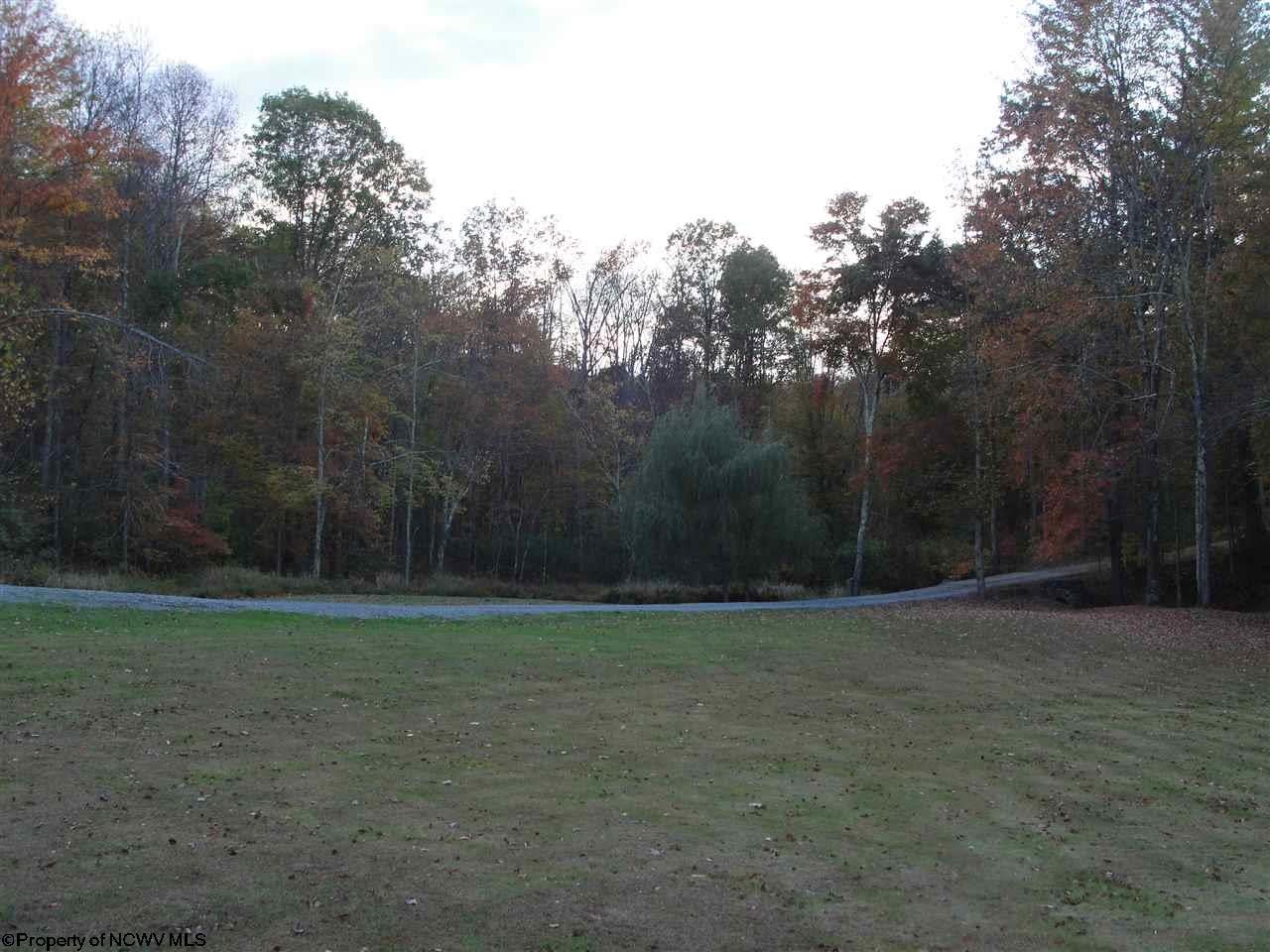 1309 Vegan Road Ellamore, WV 26267 - Photo 6 of 20 Gallery Image 6