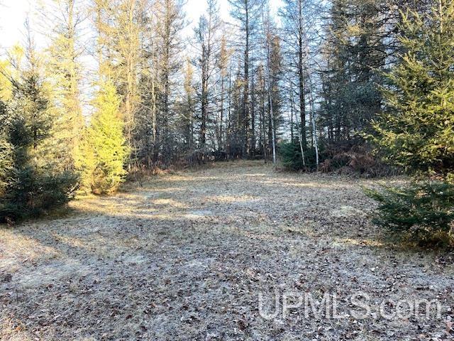 11812 East Howen Road Long Lake, WI 54542 - Photo 3 of 20