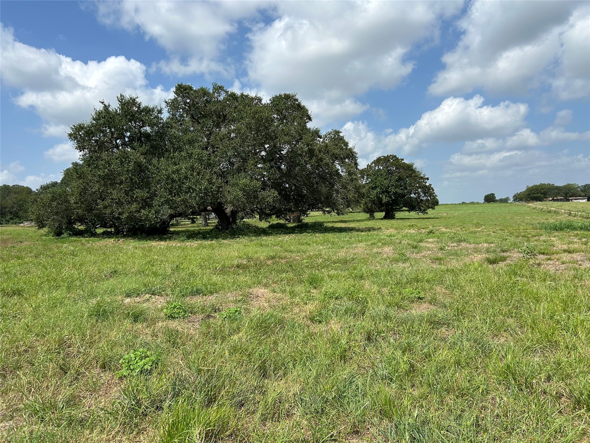 1111 Ohnheiser Kaase Road Schulenburg, TX 78956 - Photo 4 of 5 Gallery Image 4