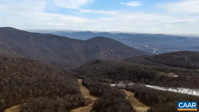 a street view with large trees