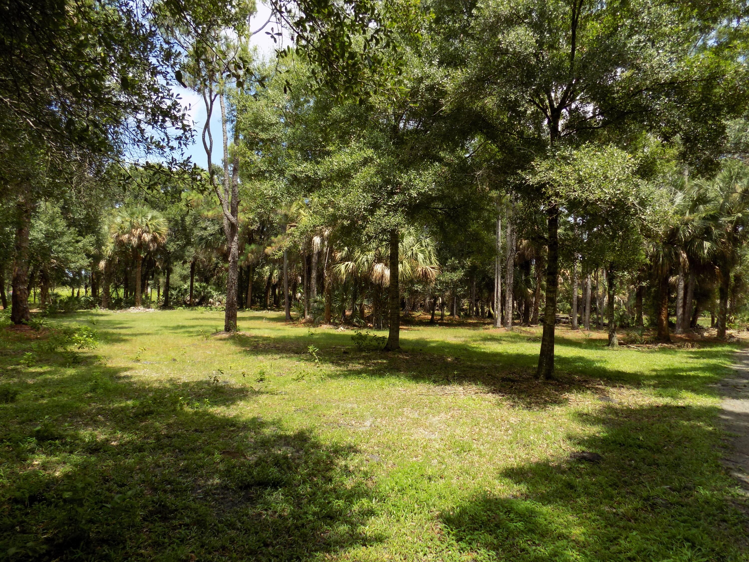 Tbd Tbd Russakis Road Fort Pierce, FL 34951 - Photo 1 of 20 DSCN0980 - Copy - Copy