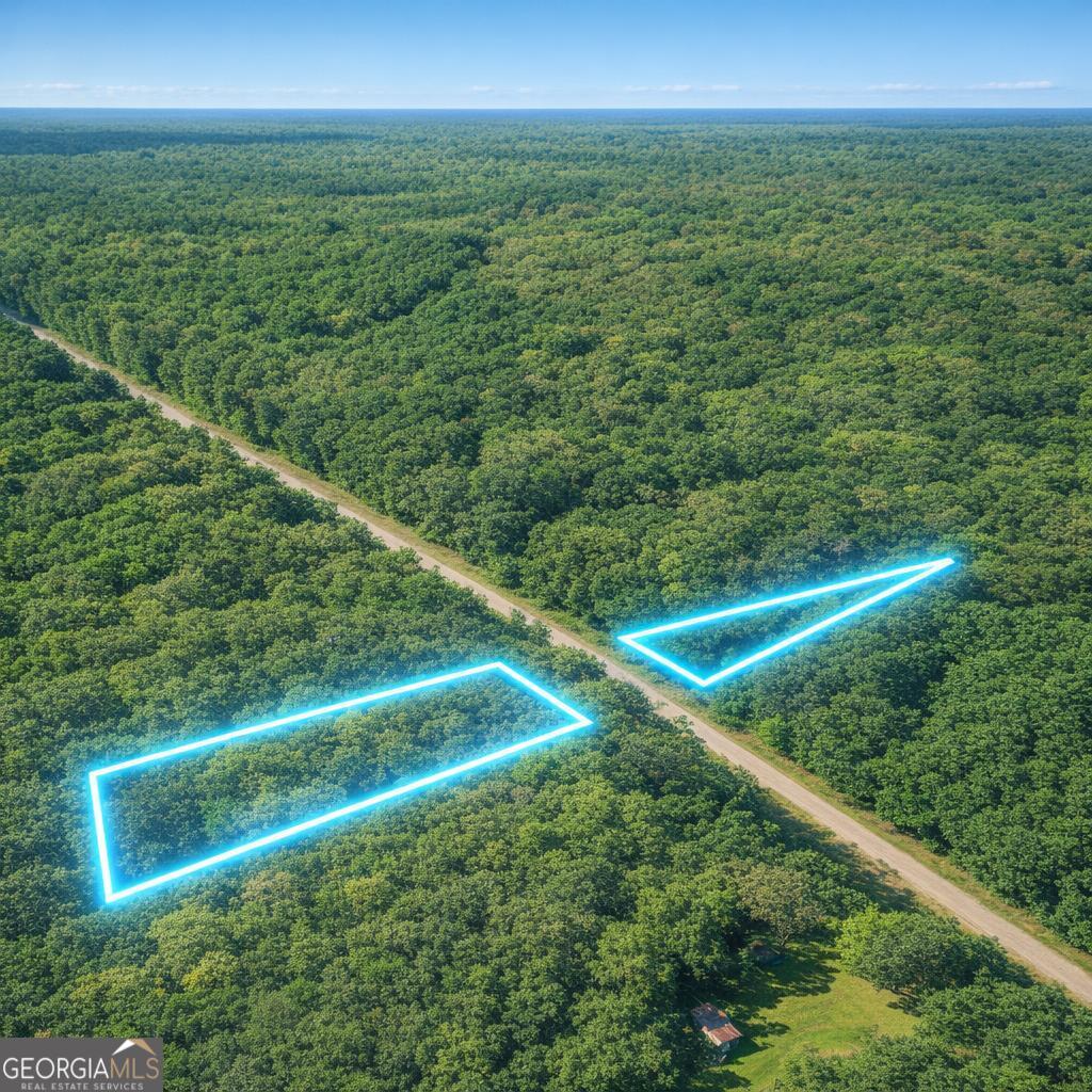 2.04-acres Holmestown Loop Road Midway, GA 31320 - Photo 8 of 13 a view of a field