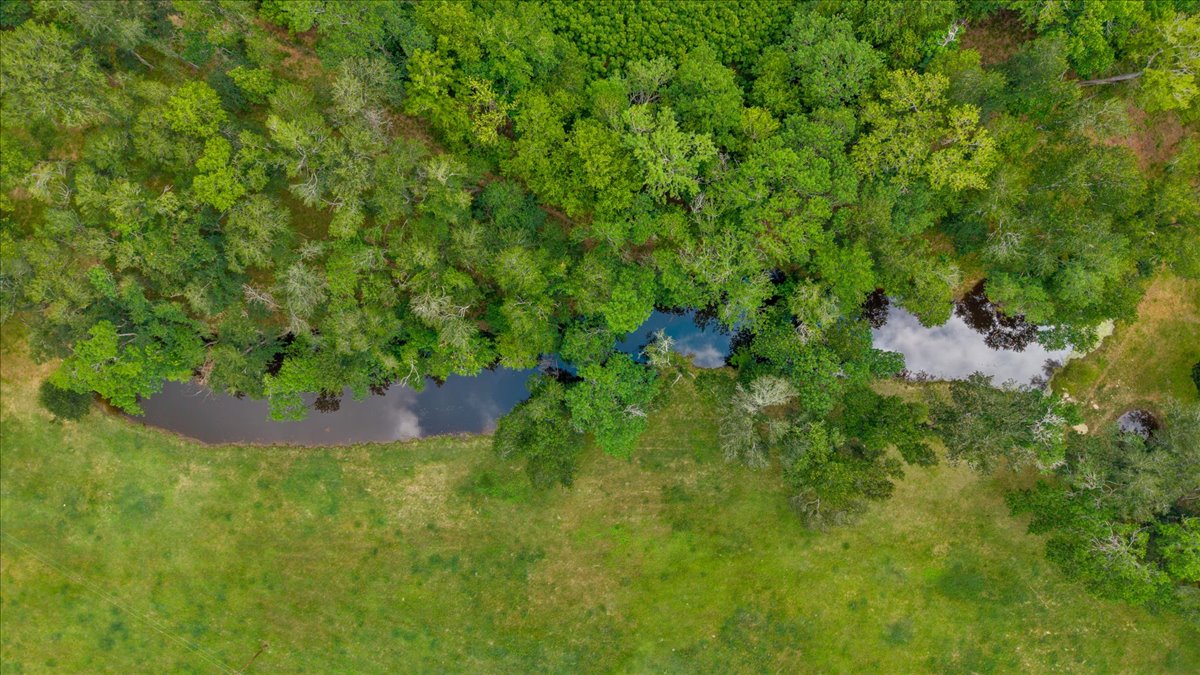 4140 County Road 467 Elgin, TX 78621 - Photo 27 of 40