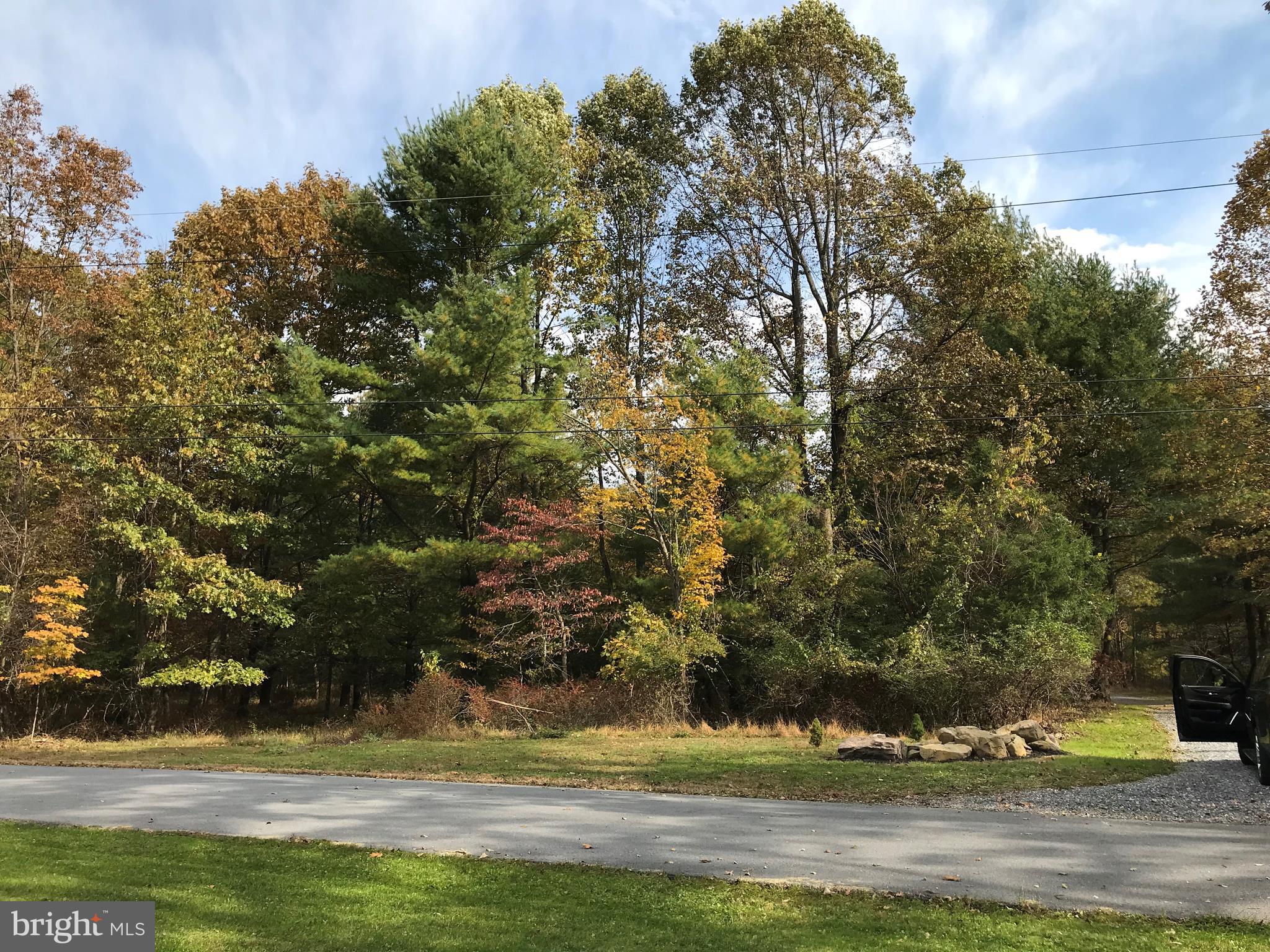 Corls Ridge Rd Mountain Fayetteville, PA 17222 - Photo 2 of 2 a view of yard with green space