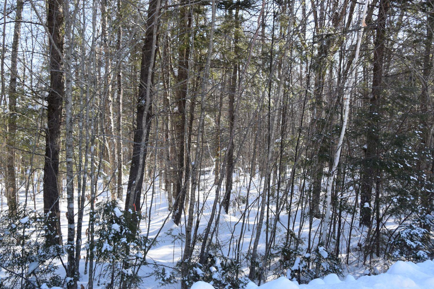 M34-l36 Loon Road Embden, ME 04958 - Photo 11 of 27 DSC_0020